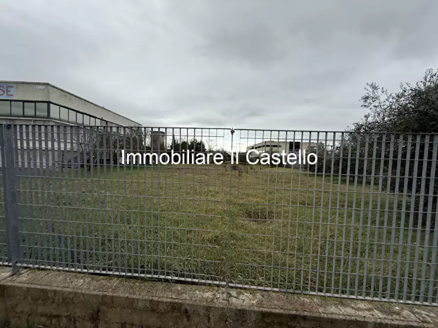 Immagine 3 di Terreno in vendita  a Castiglione Del Lago