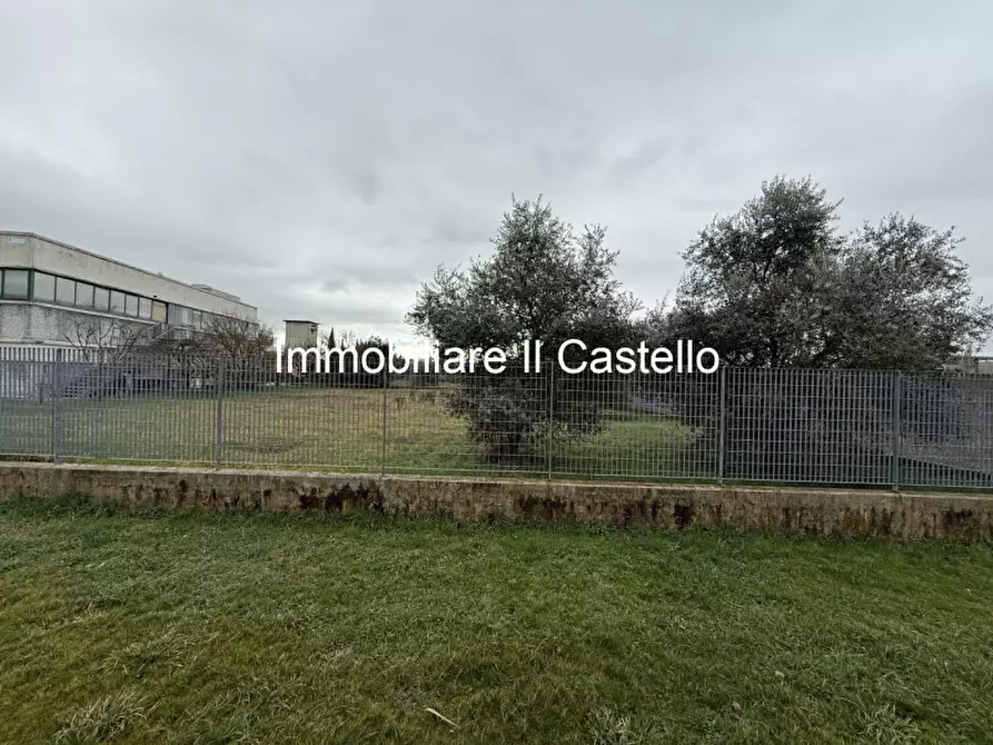 Immagine 5 di Terreno in vendita  a Castiglione Del Lago