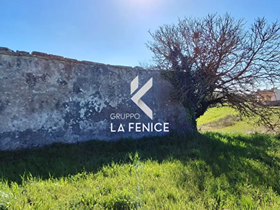 Immagine 15 di Rustico / casale in vendita  in Contrada Grassitello a Martina Franca