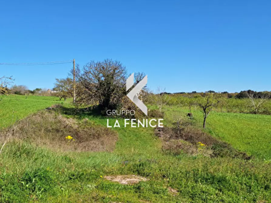 Immagine 20 di Rustico / casale in vendita  in Contrada Grassitello a Martina Franca