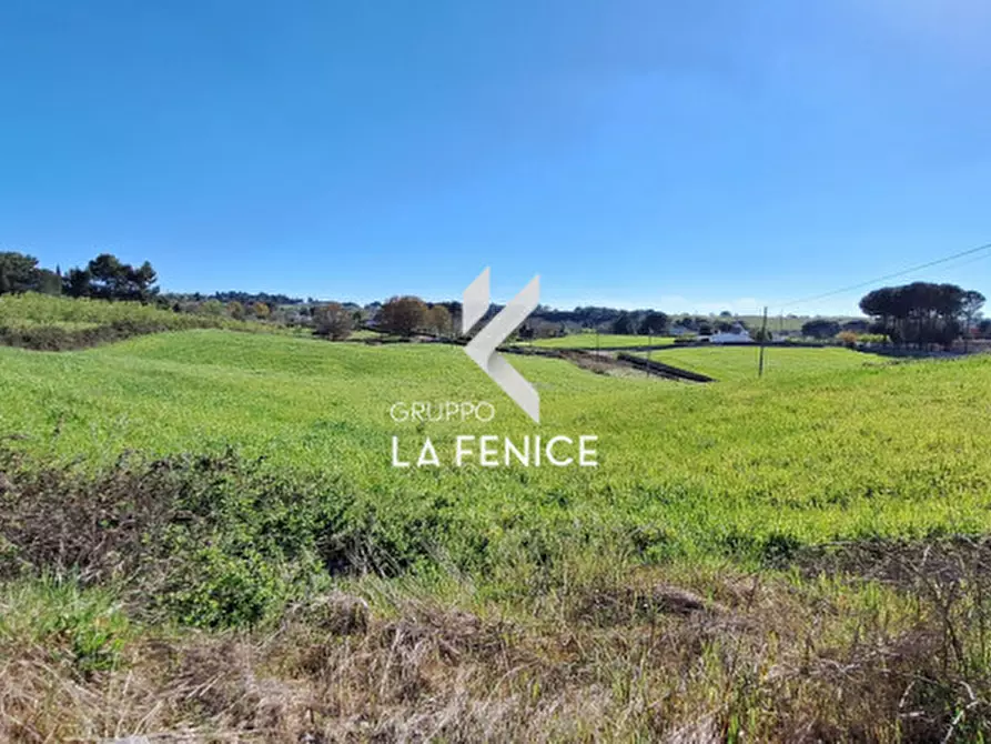 Immagine 22 di Rustico / casale in vendita  in Contrada Grassitello a Martina Franca