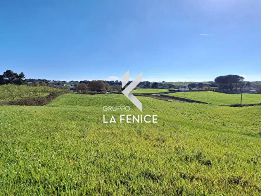 Immagine 23 di Rustico / casale in vendita  in Contrada Grassitello a Martina Franca