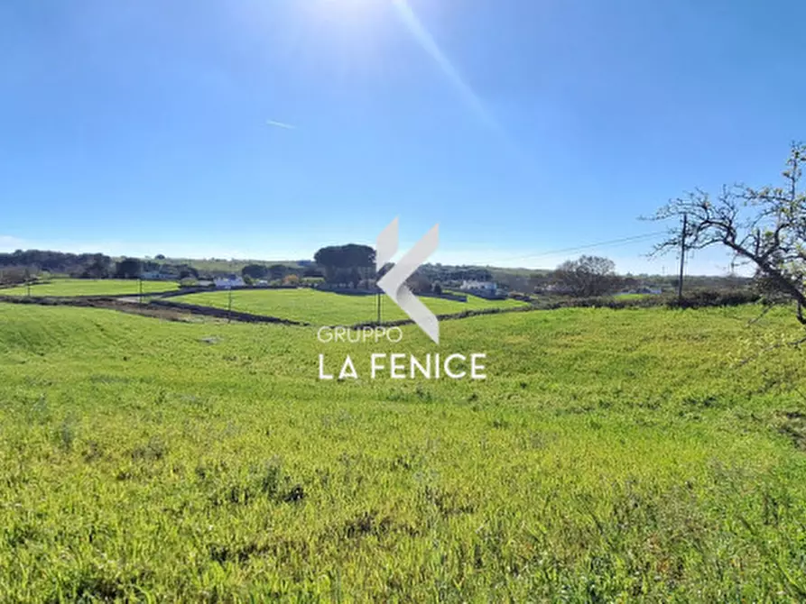 Immagine 24 di Rustico / casale in vendita  in Contrada Grassitello a Martina Franca