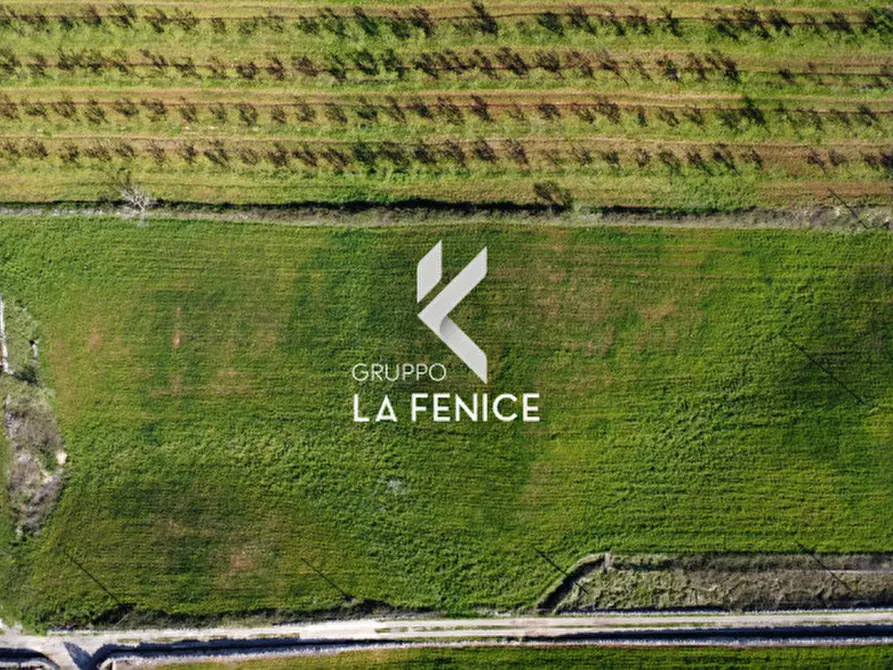 Immagine 34 di Rustico / casale in vendita  in Contrada Grassitello a Martina Franca