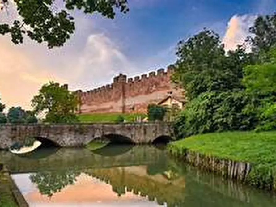 Immagine 5 di Attività commerciale in vendita  in Piazza Giorgione a Castelfranco Veneto