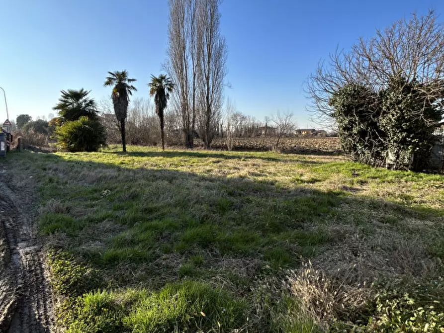 Immagine 25 di Villetta a schiera in vendita  in Via Porara Gidoni a Mirano