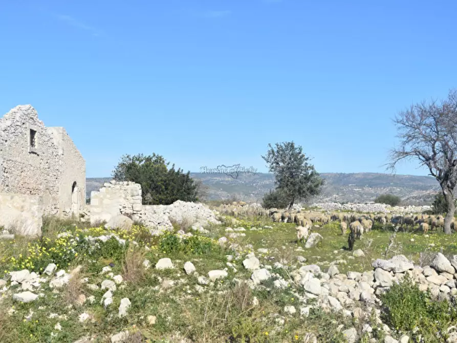 Immagine 18 di Casa indipendente in vendita  in Contrada Stafenna a Noto