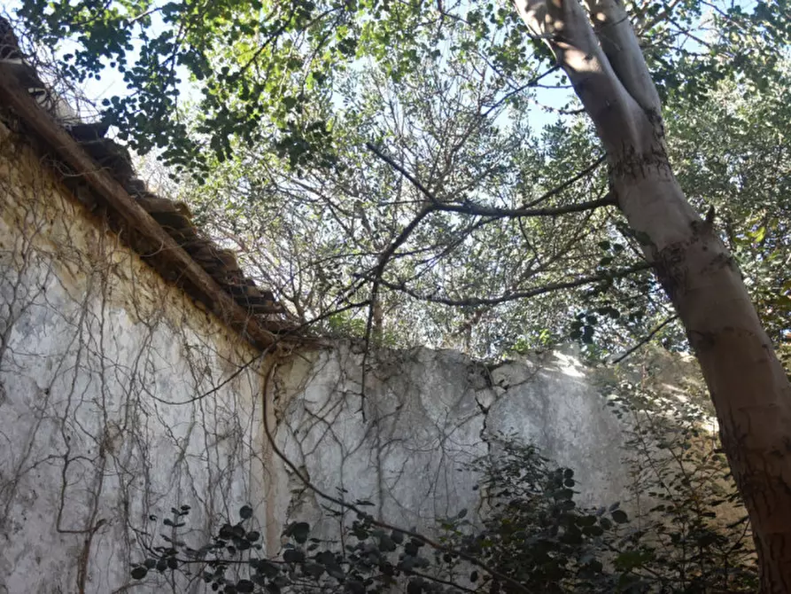 Immagine 37 di Casa indipendente in vendita  in Contrada Stafenna a Noto