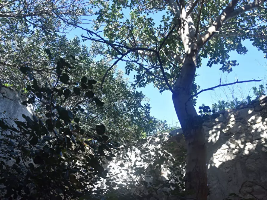 Immagine 38 di Casa indipendente in vendita  in Contrada Stafenna a Noto