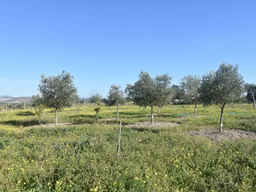 Immagine 45 di Casa indipendente in vendita  in Contrada Stafenna a Noto