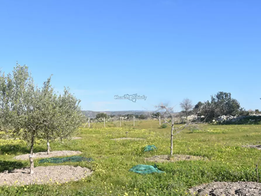 Immagine 47 di Casa indipendente in vendita  in Contrada Stafenna a Noto