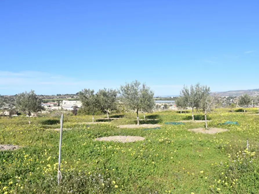 Immagine 48 di Casa indipendente in vendita  in Contrada Stafenna a Noto