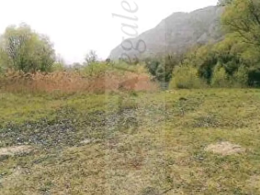 Immagine 5 di Terreno in vendita  in SS 12 a Dolcè