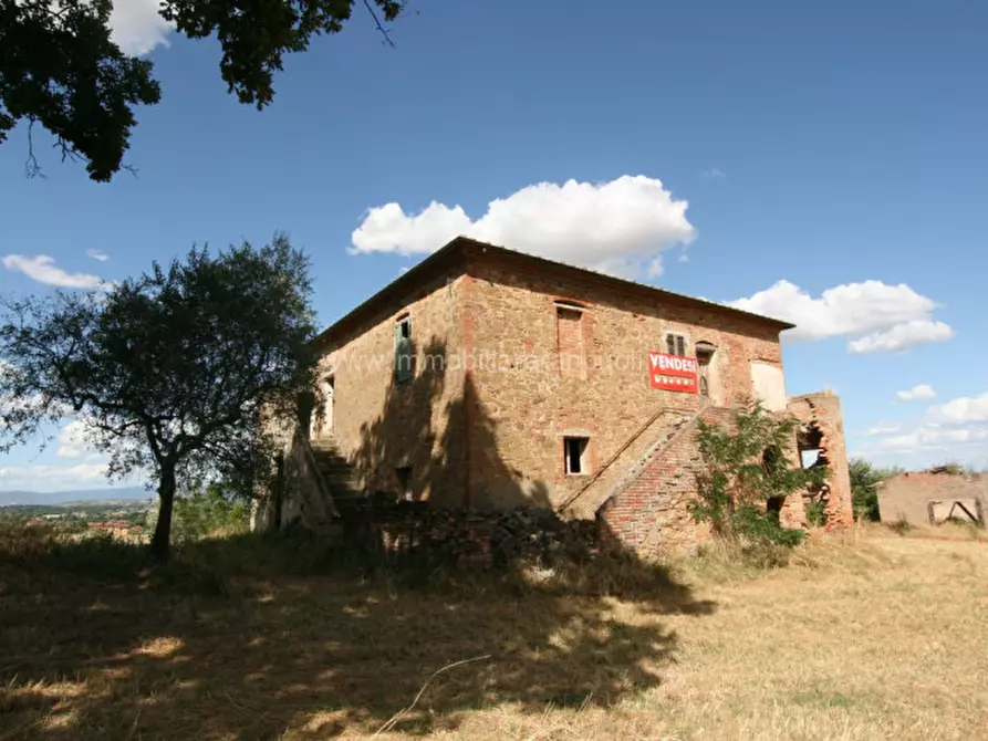 Immagine 3 di Rustico / casale in vendita  a Torrita Di Siena