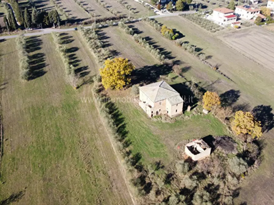 Immagine 5 di Rustico / casale in vendita  a Torrita Di Siena
