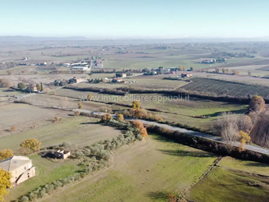 Immagine 6 di Rustico / casale in vendita  a Torrita Di Siena