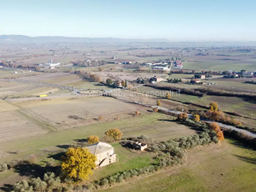 Immagine 8 di Rustico / casale in vendita  a Torrita Di Siena
