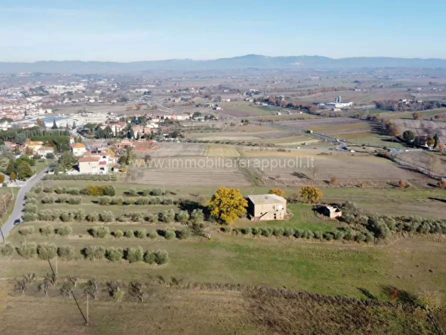 Immagine 9 di Rustico / casale in vendita  a Torrita Di Siena