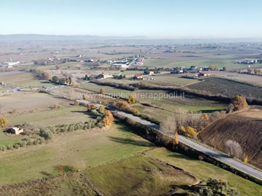Immagine 11 di Rustico / casale in vendita  a Torrita Di Siena