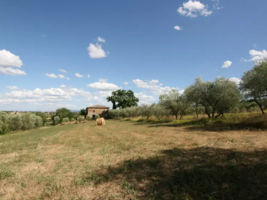 Immagine 12 di Rustico / casale in vendita  a Torrita Di Siena