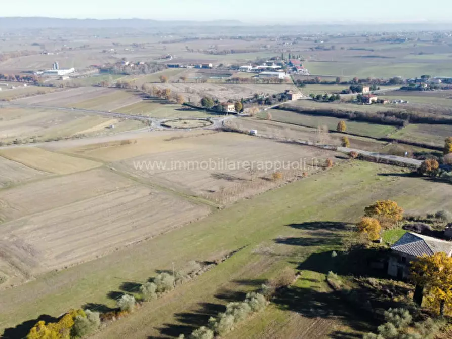 Immagine 12 di Rustico / casale in vendita  a Torrita Di Siena