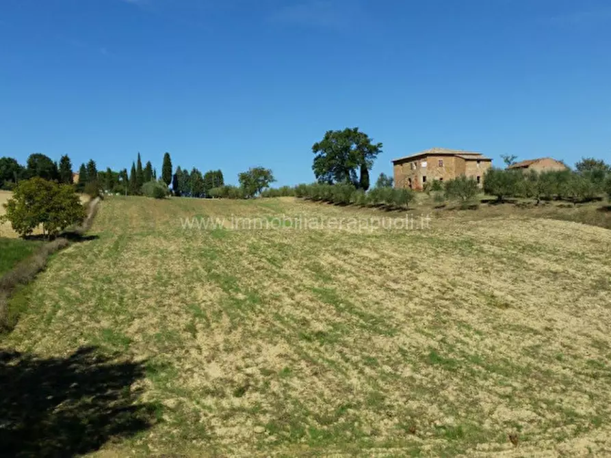 Immagine 14 di Rustico / casale in vendita  a Torrita Di Siena