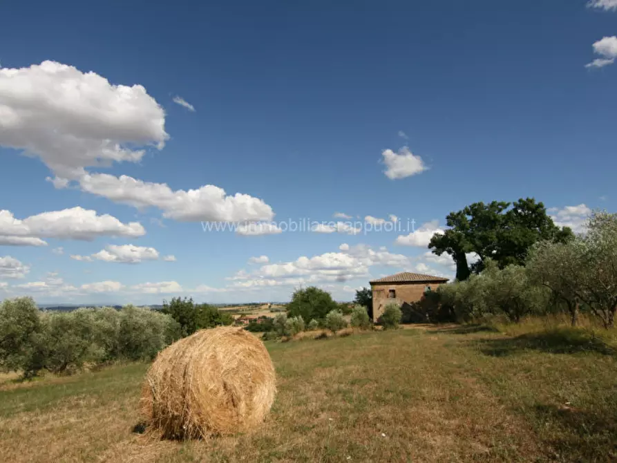Immagine 15 di Rustico / casale in vendita  a Torrita Di Siena