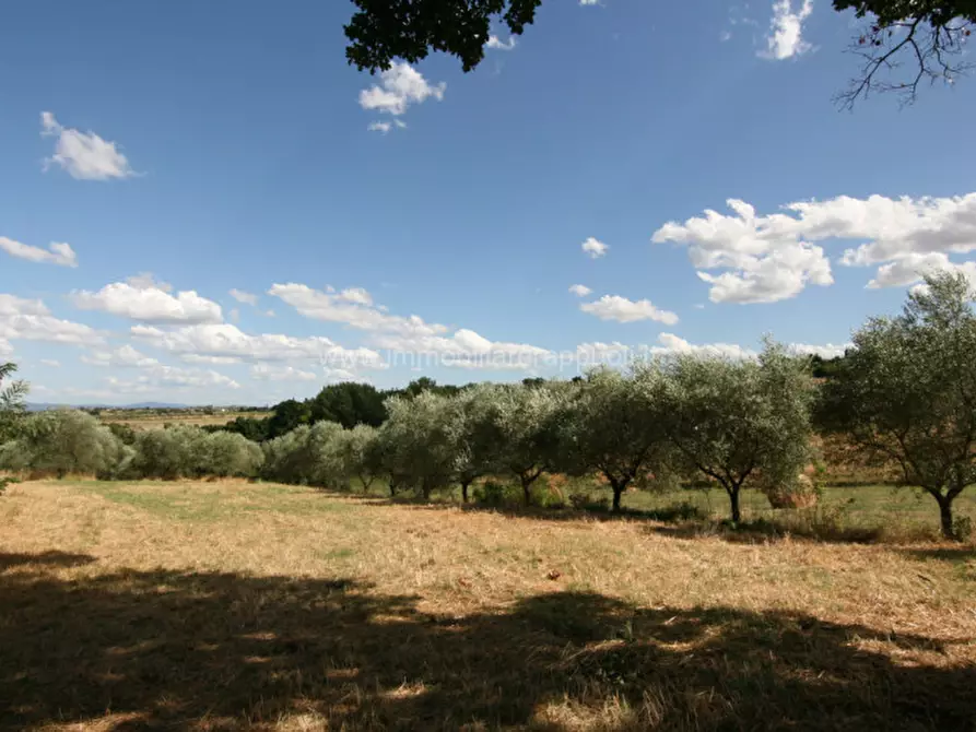 Immagine 19 di Rustico / casale in vendita  a Torrita Di Siena