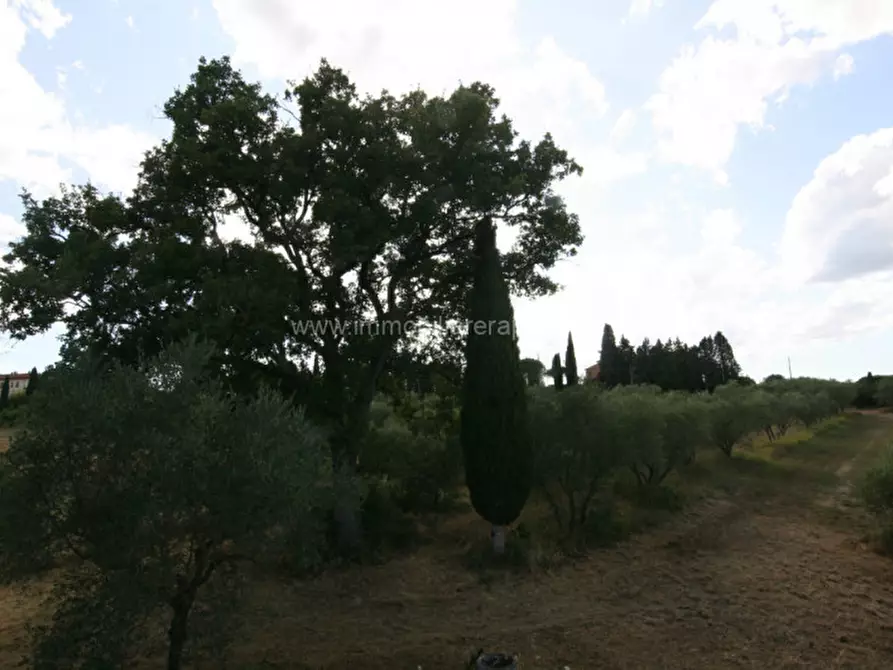 Immagine 29 di Rustico / casale in vendita  a Torrita Di Siena