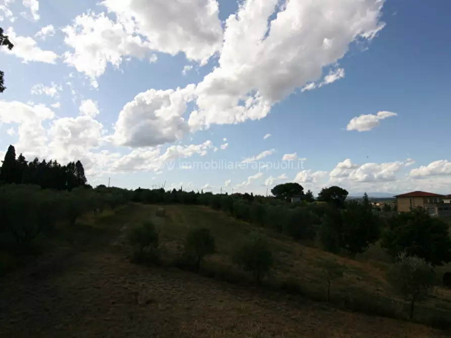 Immagine 30 di Rustico / casale in vendita  a Torrita Di Siena