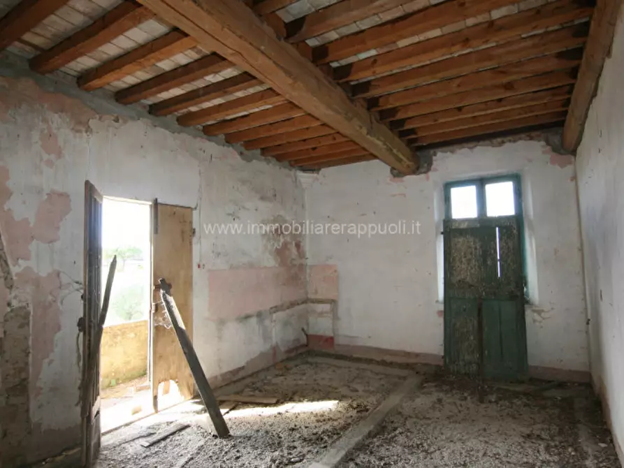 Immagine 32 di Rustico / casale in vendita  a Torrita Di Siena