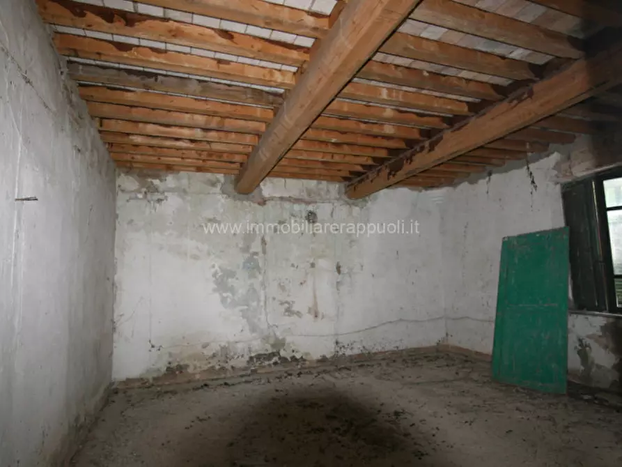 Immagine 37 di Rustico / casale in vendita  a Torrita Di Siena