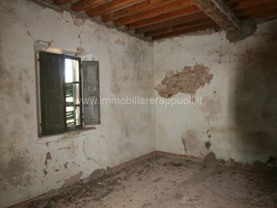 Immagine 39 di Rustico / casale in vendita  a Torrita Di Siena