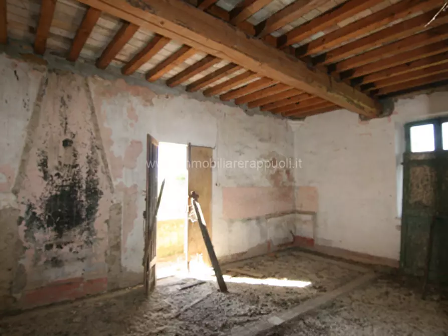 Immagine 44 di Rustico / casale in vendita  a Torrita Di Siena