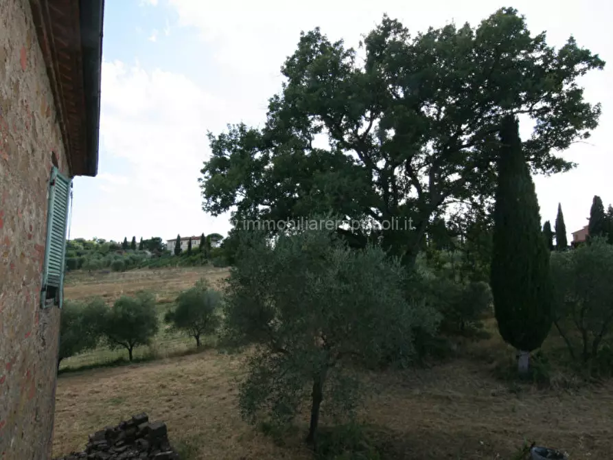 Immagine 45 di Rustico / casale in vendita  a Torrita Di Siena