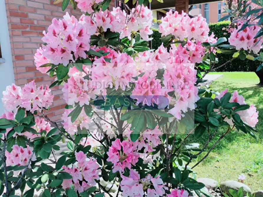 Immagine 50 di Villa in vendita  in via Varese 66 a Gallarate