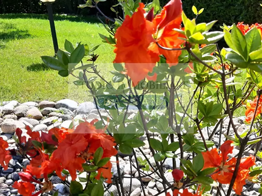 Immagine 54 di Villa in vendita  in via Varese 66 a Gallarate