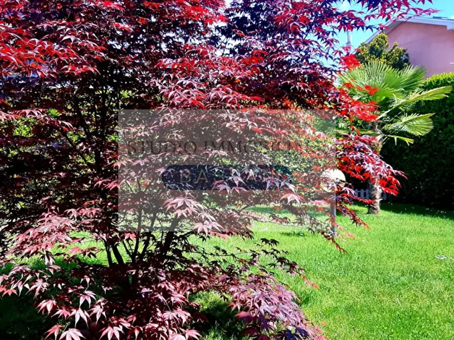 Immagine 55 di Villa in vendita  in via Varese 66 a Gallarate