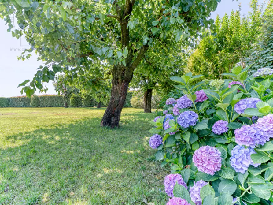 Immagine 26 di Villa in vendita  in via Restello a Villa Del Conte