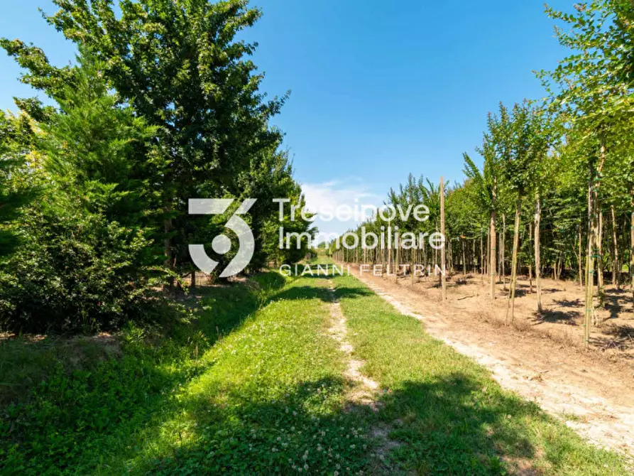 Immagine 25 di Villa in vendita  in Via Argine Destro a San Donà Di Piave