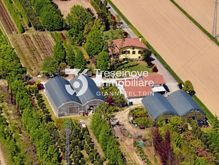 Immagine 29 di Villa in vendita  in Via Argine Destro a San Donà Di Piave