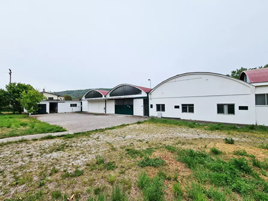 Immagine 1 di Capannone industriale in vendita  in Via Ca' Borini a Baone
