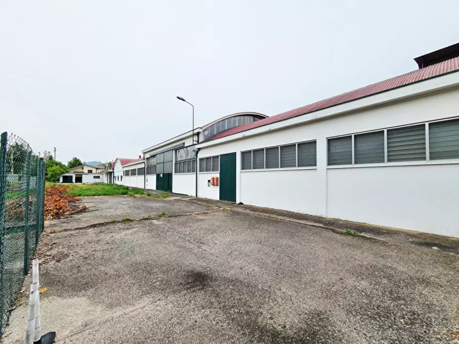 Immagine 2 di Capannone industriale in vendita  in Via Ca' Borini a Baone