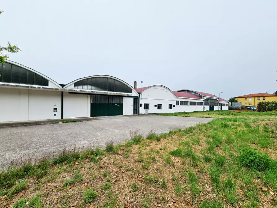 Immagine 5 di Capannone industriale in vendita  in Via Ca' Borini a Baone