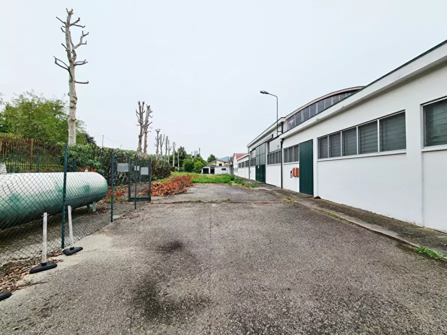 Immagine 10 di Capannone industriale in vendita  in Via Ca' Borini a Baone
