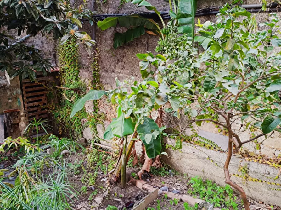 Immagine 18 di Appartamento in vendita  in Via Zeffirino Massa a San Remo