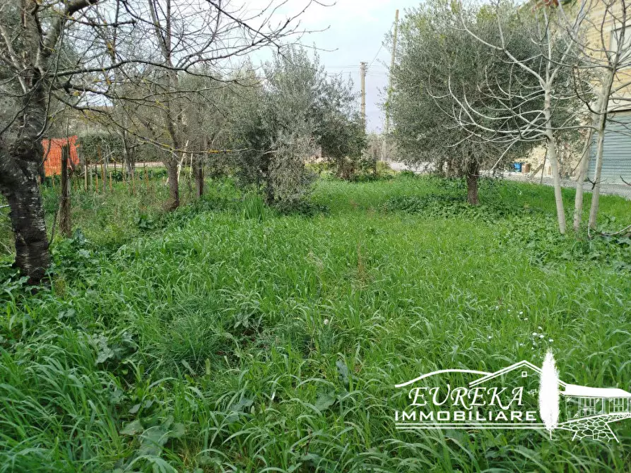 Immagine 38 di Villetta a schiera in vendita  in località pucciarelli a Castiglione Del Lago