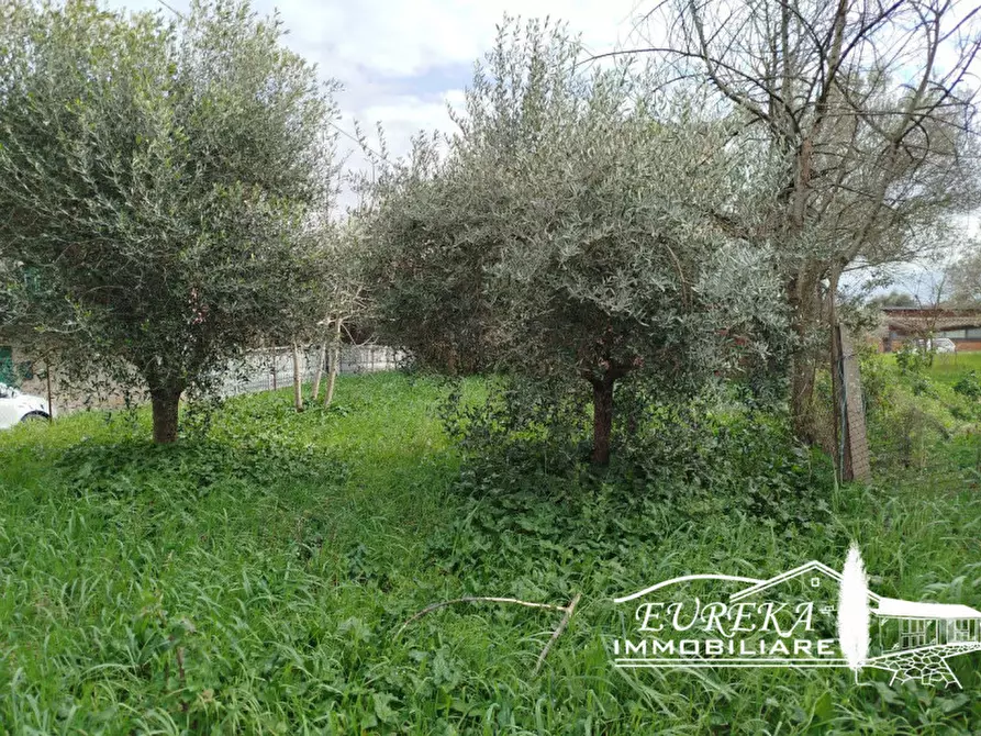 Immagine 39 di Villetta a schiera in vendita  in località pucciarelli a Castiglione Del Lago