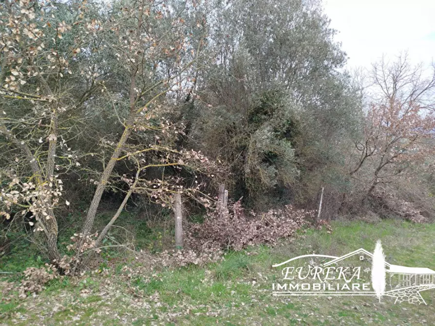 Immagine 41 di Villetta a schiera in vendita  in località pucciarelli a Castiglione Del Lago