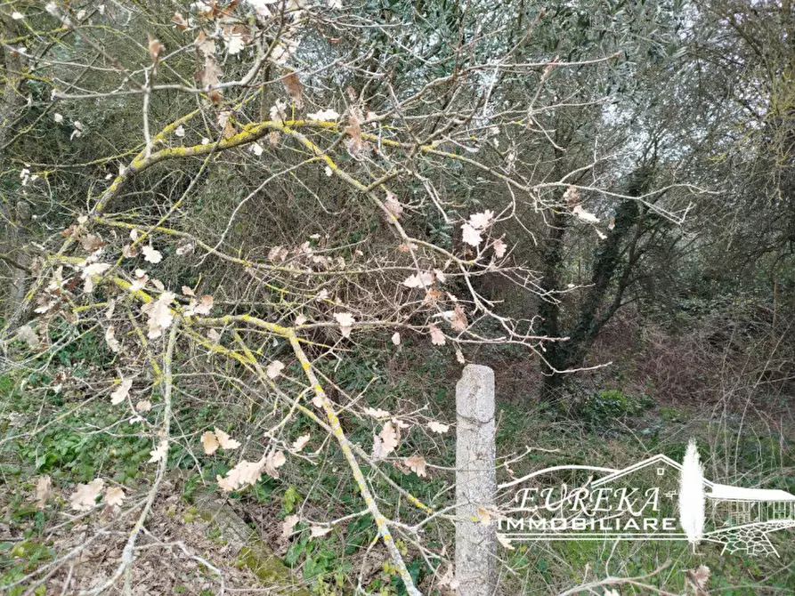 Immagine 42 di Villetta a schiera in vendita  in località pucciarelli a Castiglione Del Lago